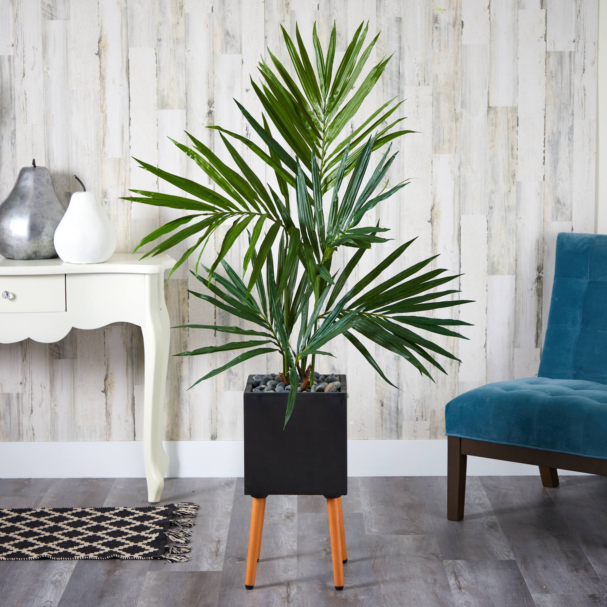 5.5ft. Kentia Palm Tree in Black Planter with Stand